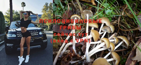 меф Богородицк