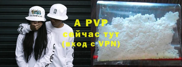 прущий лед Богданович