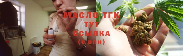 прущий лед Богданович