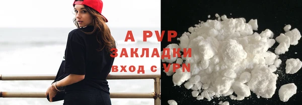 прущий лед Богданович