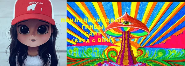 прущий лед Богданович