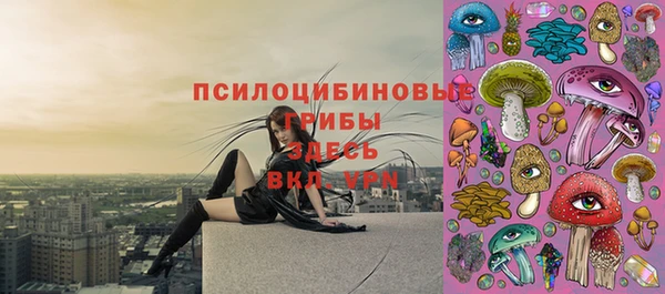 прущий лед Богданович