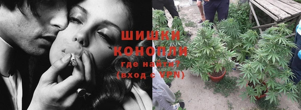 прущий лед Богданович
