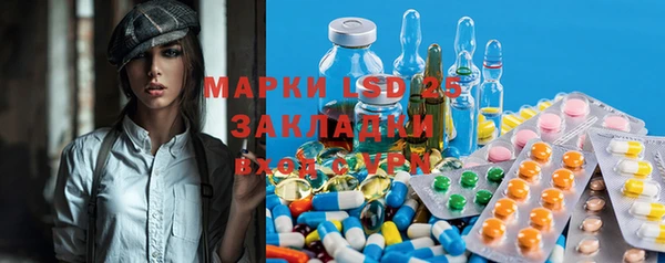 прущий лед Богданович